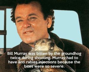 Groundhog Day factoid