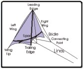 Kite Diagram