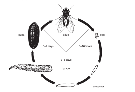 Screen shot 2016-10-23 at 1.20.02 PM.png